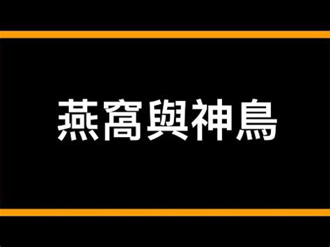 撿到燕子代表什麼|紅耳鵯愛回家之日常